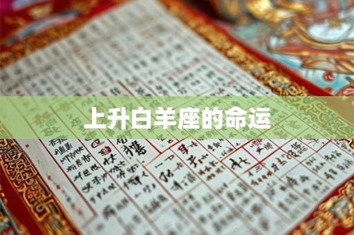 上升白羊座的命运