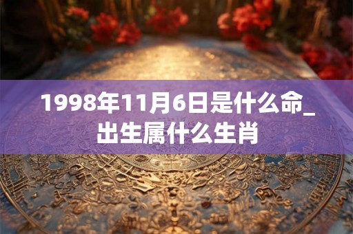 1998年11月6日是什么命_出生属什么生肖
