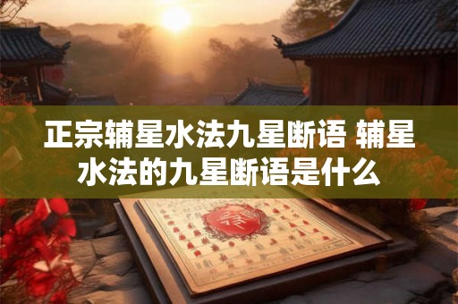 正宗辅星水法九星断语 辅星水法的九星断语是什么