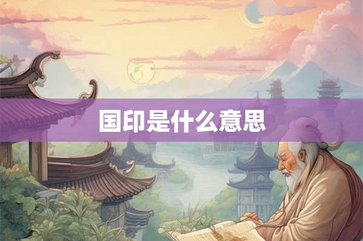 国印是什么意思