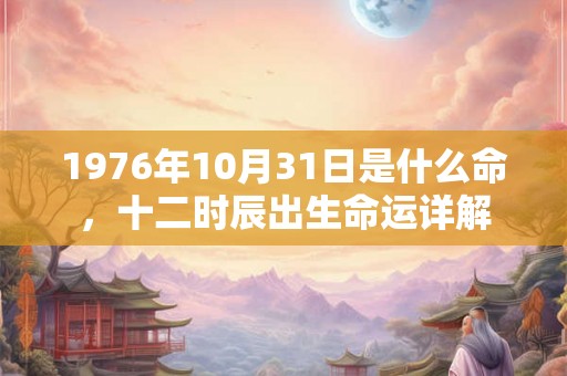 1976年10月31日是什么命,十二时辰出生命运详解 1976年10月31日是什么命,十二时辰出生命运详解
