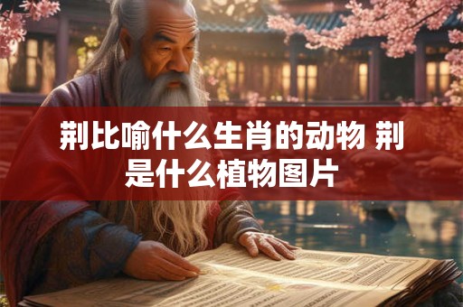 荆比喻什么生肖的动物 荆是什么植物图片