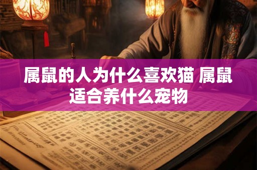 属鼠的人为什么喜欢猫 属鼠适合养什么宠物 属鼠的人为什么喜欢猫 属鼠适合养什么宠物