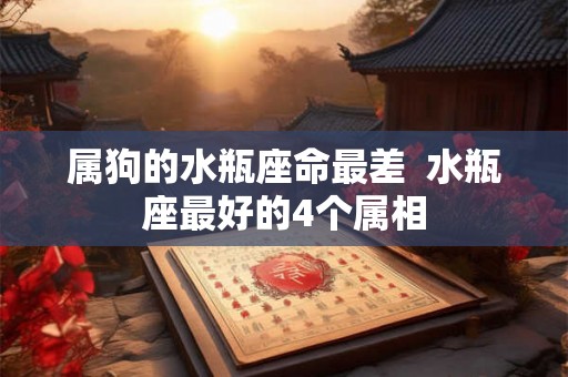 属狗的水瓶座命最差  水瓶座最好的4个属相