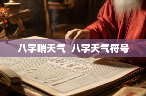 八字哨天气  八字天气符号