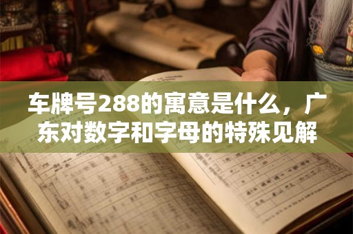 车牌号288的寓意是什么，广东对数字和字母的特殊见解