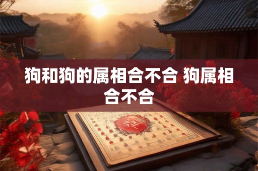 狗和狗的属相合不合 狗属相合不合 狗和狗的属相合不合 狗属相合不合