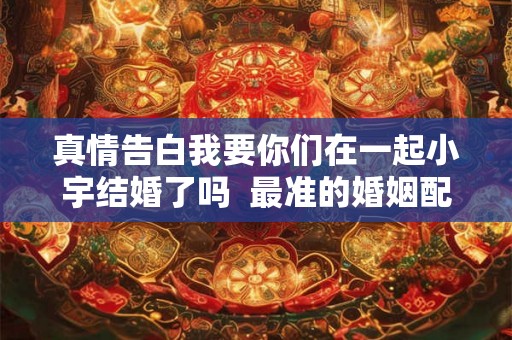 真情告白我要你们在一起小宇结婚了吗  最准的婚姻配偶方向