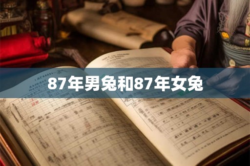 87年男兔和87年女兔
