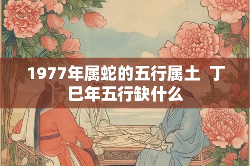 1977年属蛇的五行属土  丁巳年五行缺什么