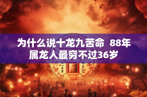 为什么说十龙九苦命  88年属龙人最穷不过36岁