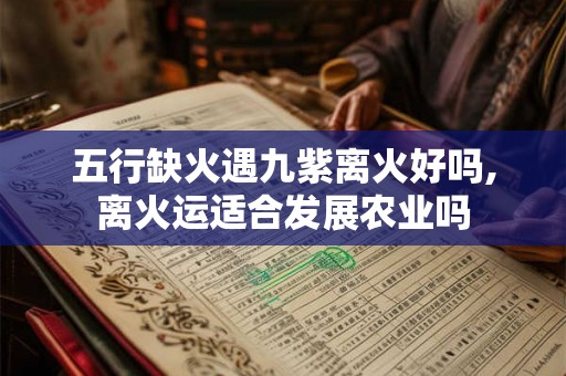 五行缺火遇九紫离火好吗,离火运适合发展农业吗