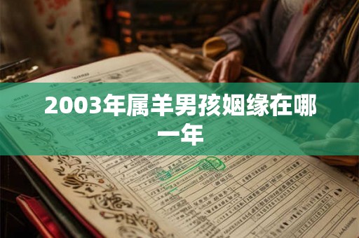 2003年属羊男孩姻缘在哪一年