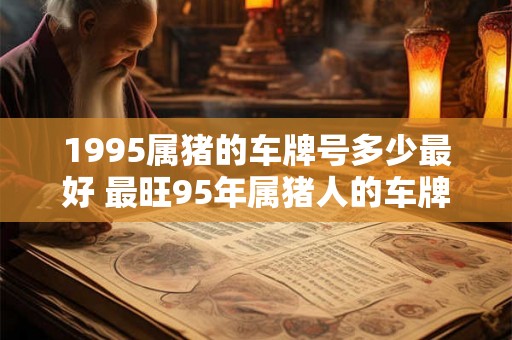 1995属猪的车牌号多少最好 最旺95年属猪人的车牌号
