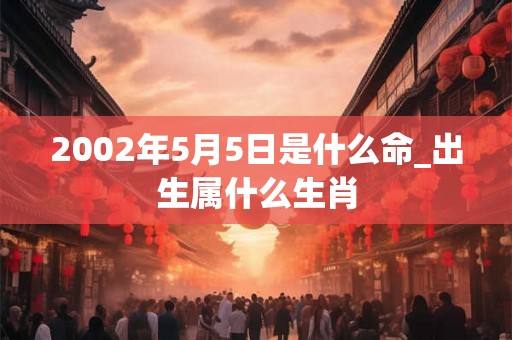 2002年5月5日是什么命_出生属什么生肖