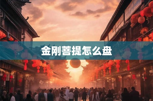 金刚菩提怎么盘