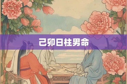 己卯日柱男命