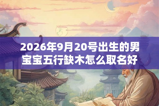2026年9月20号出生的男宝宝五行缺木怎么取名好