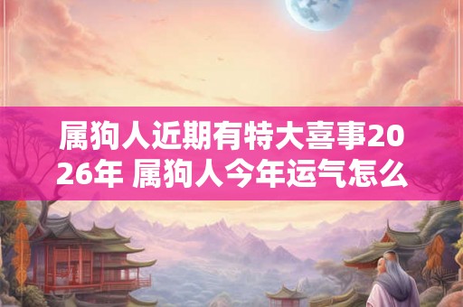属狗人近期有特大喜事2026年 属狗人今年运气怎么样