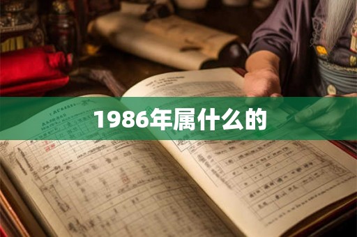1986年属什么的