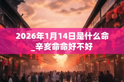 2026年1月14日是什么命_辛亥命命好不好