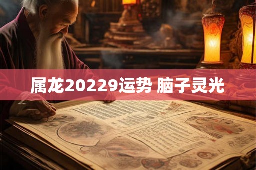 属龙20229运势 脑子灵光 属龙20229运势 脑子灵光
