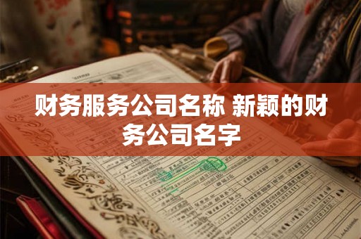 财务服务公司名称 新颖的财务公司名字