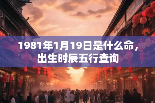1981年1月19日是什么命，出生时辰五行查询