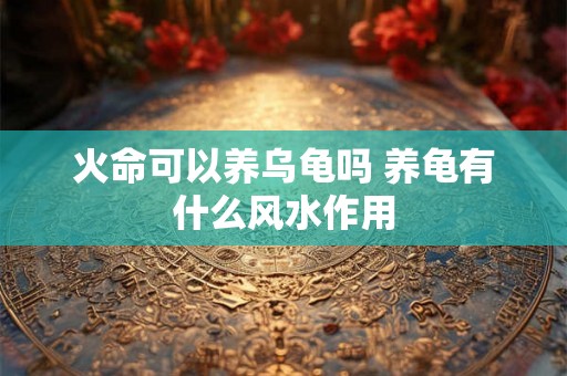 火命可以养乌龟吗 养龟有什么风水作用