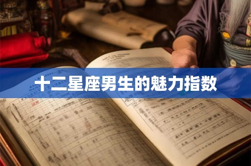 十二星座男生的魅力指数
