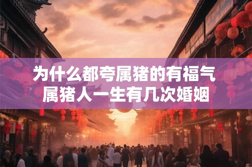 为什么都夸属猪的有福气 属猪人一生有几次婚姻