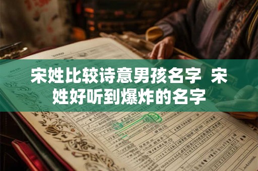 宋姓比较诗意男孩名字  宋姓好听到爆炸的名字