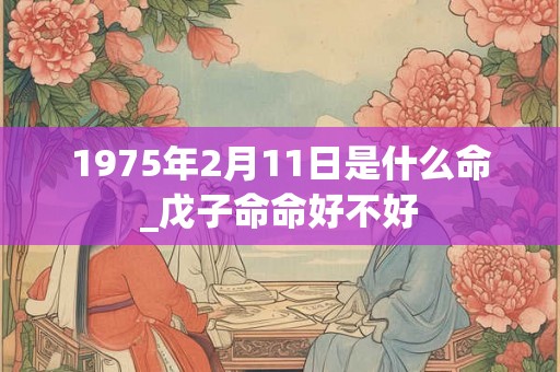 1975年2月11日是什么命_戊子命命好不好