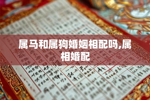 属马和属狗婚姻相配吗,属相婚配 属马和属狗婚姻相配吗,属相婚配