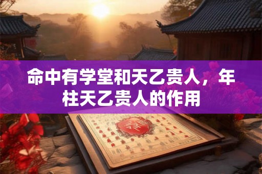 命中有学堂和天乙贵人，年柱天乙贵人的作用