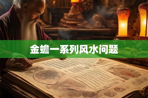 金蟾一系列风水问题