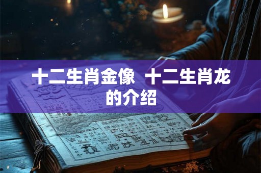 十二生肖金像  十二生肖龙的介绍