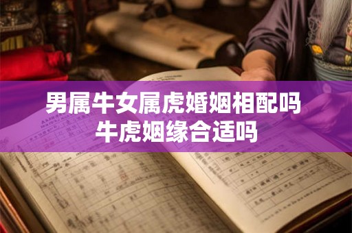 男属牛女属虎婚姻相配吗 牛虎姻缘合适吗
