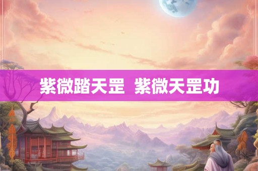 紫微踏天罡  紫微天罡功