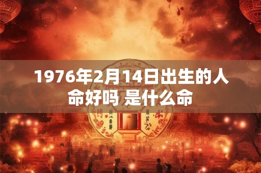 1976年2月14日出生的人命好吗 是什么命
