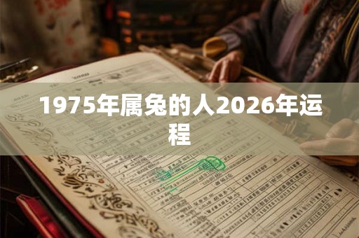 1975年属兔的人2026年运程