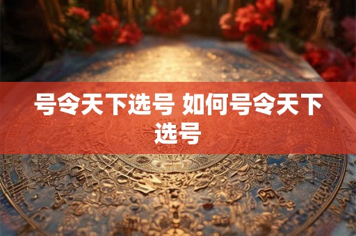 号令天下选号 如何号令天下选号