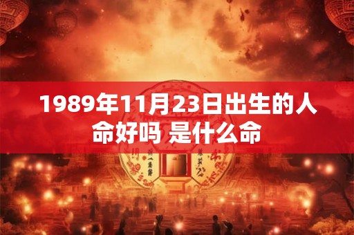 1989年11月23日出生的人命好吗 是什么命