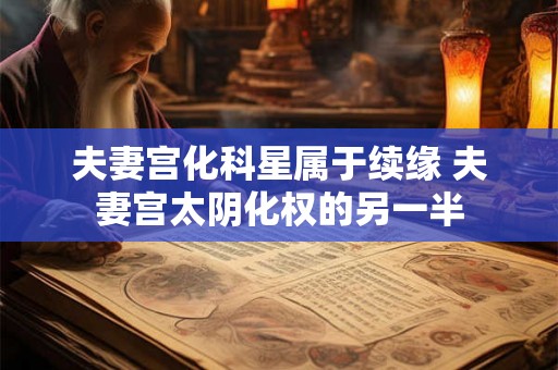 夫妻宫化科星属于续缘 夫妻宫太阴化权的另一半