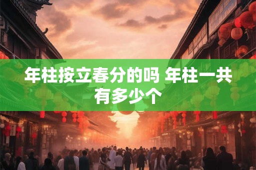 年柱按立春分的吗 年柱一共有多少个