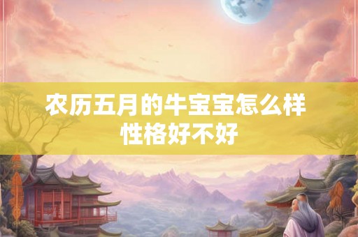 农历五月的牛宝宝怎么样 性格好不好
