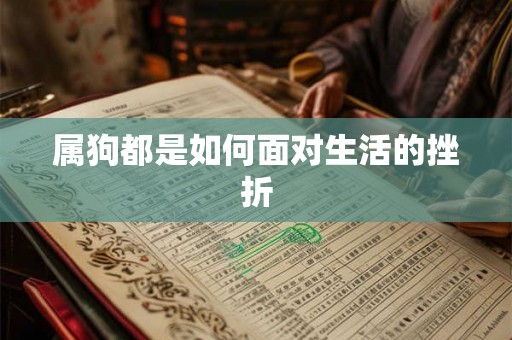 属狗都是如何面对生活的挫折 属狗都是如何面对生活的挫折