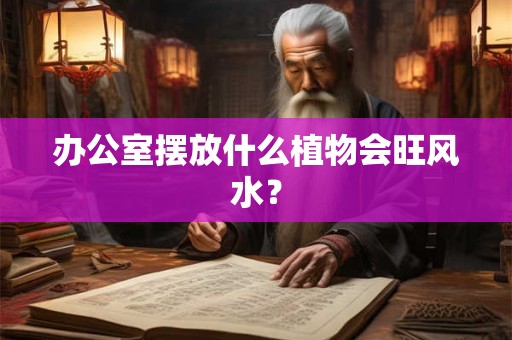 办公室摆放什么植物会旺风水？