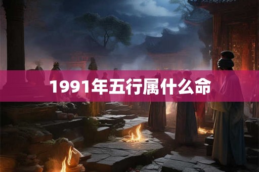1991年五行属什么命