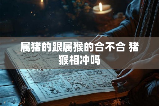 属猪的跟属猴的合不合 猪猴相冲吗
